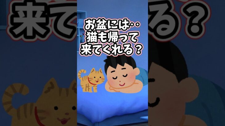 【仰天】お盆には‥猫も帰ってきてくれるのかな?     shorts