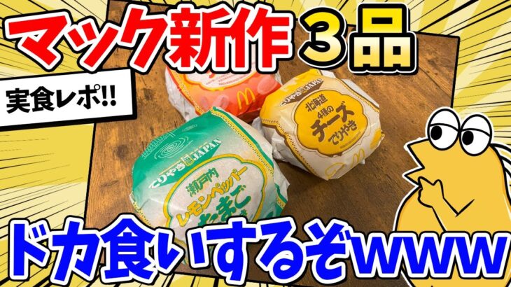 【衝撃】マック新作ドカ食い部新人、実際に食べた結果がこちらwww