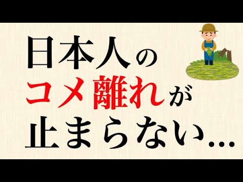 【経済】茶わん1杯のごはんが800円!? 米価高騰の実態とは？