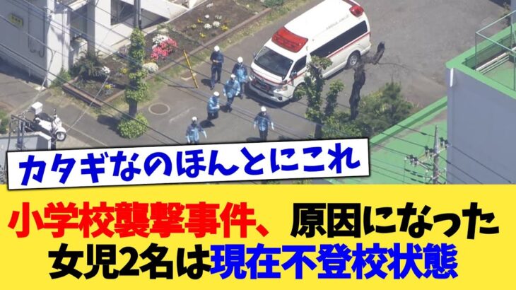 【マジかよ】小学校襲撃事件、原因になった女児2名は現在不登校状態