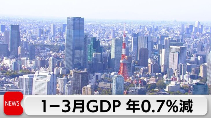 【経済】2025年1-3月のGDPが年率マイナス0.7％、経済の行方は？