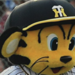 阪神タイガース、現段階で順調すぎる　このまま優勝へ
