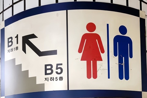 日本の大学教授が「韓国観光の弱点」を指摘＝韓国ネット「良心のない人たちのせいで…」