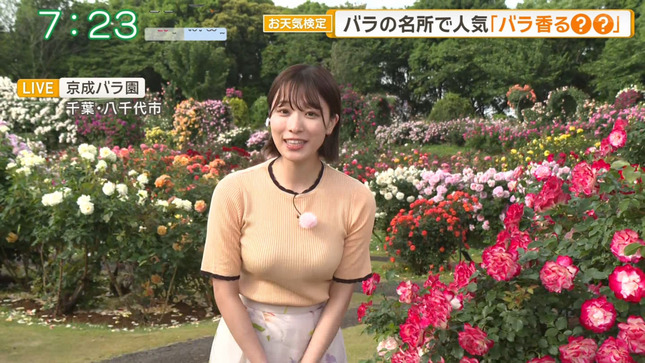 今井春花キャスター　ニットで巨乳がくっきり天気予報！！