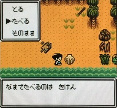 バカ「サバイバルゲームやり込んだからサバイバル余裕っしょw」→ 結果
