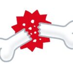 漫画アニメ「くっ！アバラを１・2本持っていかれたか…！」