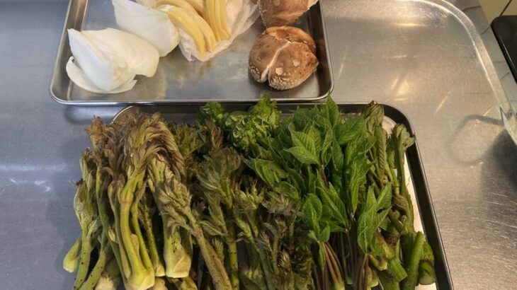 【画像】おじさんだけど山菜の天ぷら揚げた【エビ有り🍤】