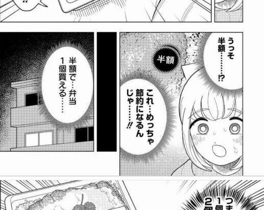 【朗報】もちづきさん、「半額弁当」を見つけてしまう！！！！！！