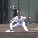 【悲報】最近のプロ野球の審判のレベル、正直ヤバいよな