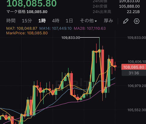 【速報】ビットコイン、ピザデーに史上最高値更新WWWWWWWWWWWWWWWWWWWWWWWWWWWWWWWWWWWWWWWWWW
