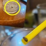 【韓国】飲み干したラテ、カップの底にゴキブリ…「返金、だが謝罪なし」に客が激怒