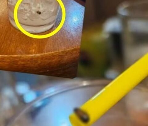 【韓国】飲み干したラテ、カップの底にゴキブリ…「返金、だが謝罪なし」に客が激怒