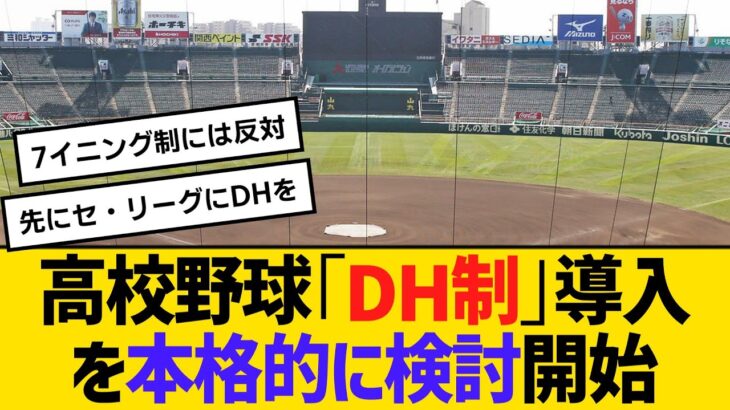 【注目】高校野球に新風！DH制導入の真相とは？