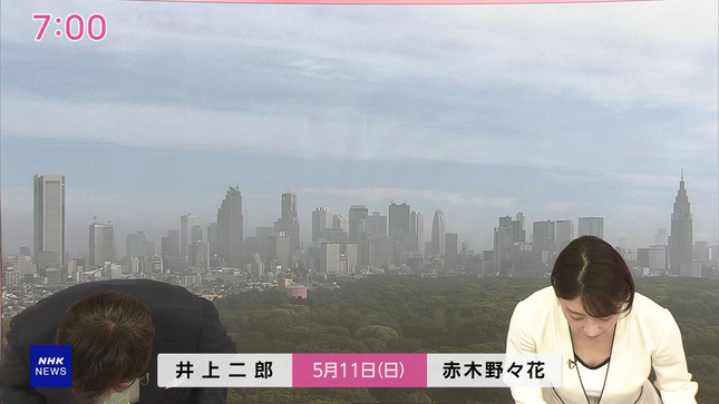赤木野々花アナ　谷間が見える衣装を着る！！【GIF動画あり】