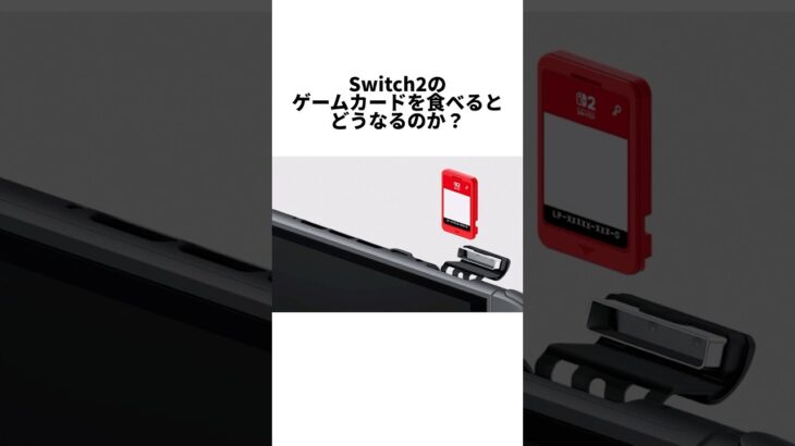 【動画】Switch2のゲームカードを食べるとどうなるのか?