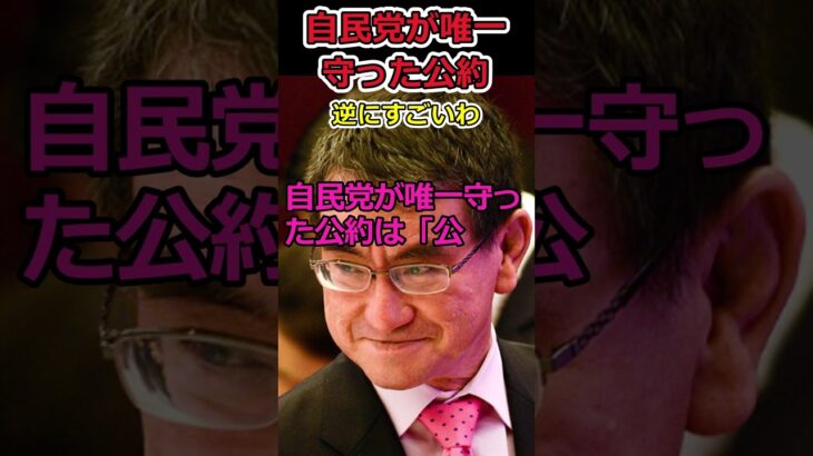 【Twitter】自民党が唯一守った公約!?⇒こんな政治家は絶対に許してはいけない!
