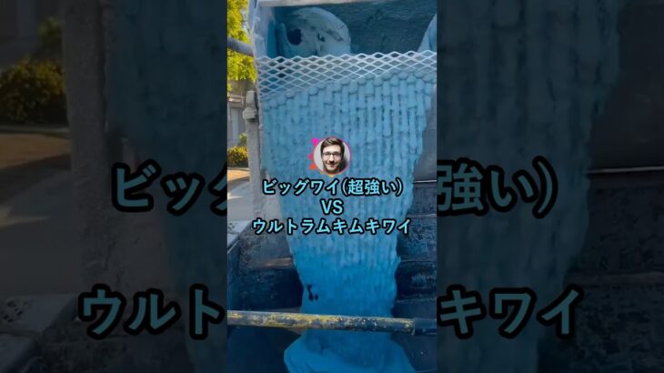 【動画】ビッグワイ(超強い)VSウルトラムキムキワイwww