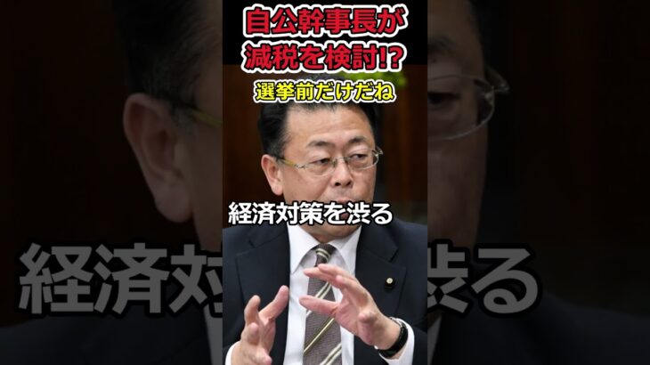 【YouTube】自公が減税を検討し始める!?⇒公約は必ずやるわけじゃないんですよね?