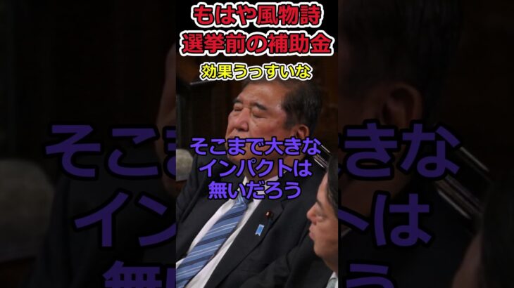 【YouTube】選挙前の補助金決定はもはや風物詩!?⇒ほんのちょっとの電気代補助が決定