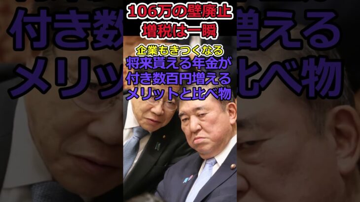 【YouTube】手取りを減らす政策を進める自民党⇒106万円の壁廃止は企業も苦しい!?