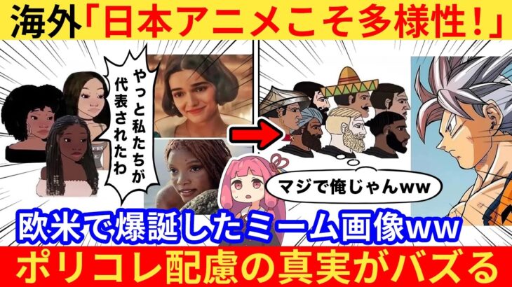 【仰天】外国人さん「キャラクターに多様性は必要よ!」→海外ミームで完全論破されるww