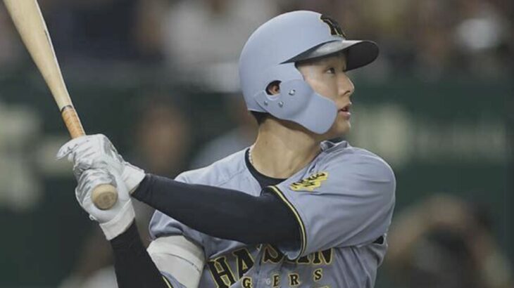 小幡竜平(7月) 打率.311 3本 出塁率.347 OPS.925 長打率.578 wRC+199