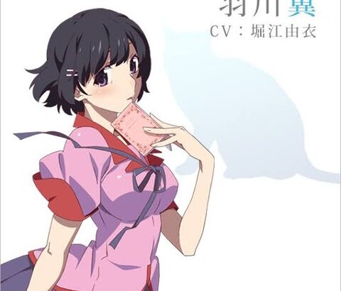 物語シリーズの漫画見たんやが羽川可哀想すぎる