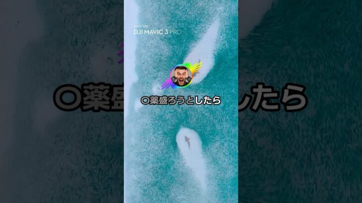 【動画】昨日見たエッッッな漫画の詳細教えて→結果www