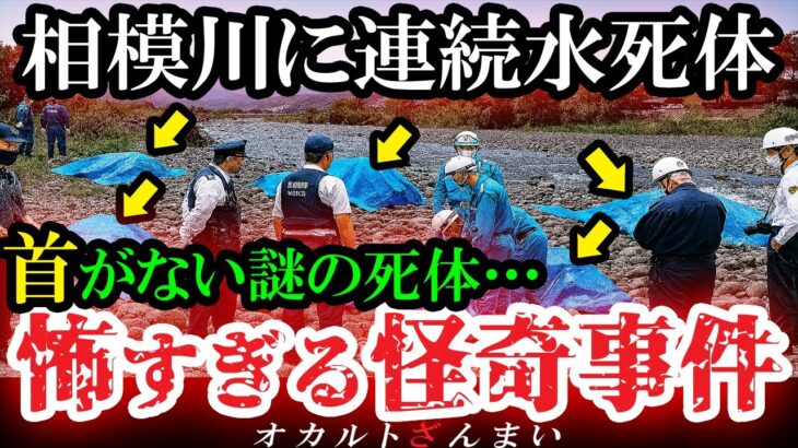 【マジかよ】[異常事態]テレビで報道されない恐怖の真相…相模川で正体不明の水●体が連続発見された怪奇事件5選
