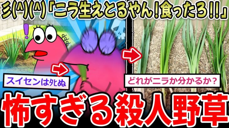 【動画】彡(^)(^)「ニラ生えとる!食ったろ‼」→ヴォエエェッ!!ビチビチブリブリッ!!食中毒で救急搬送へ…