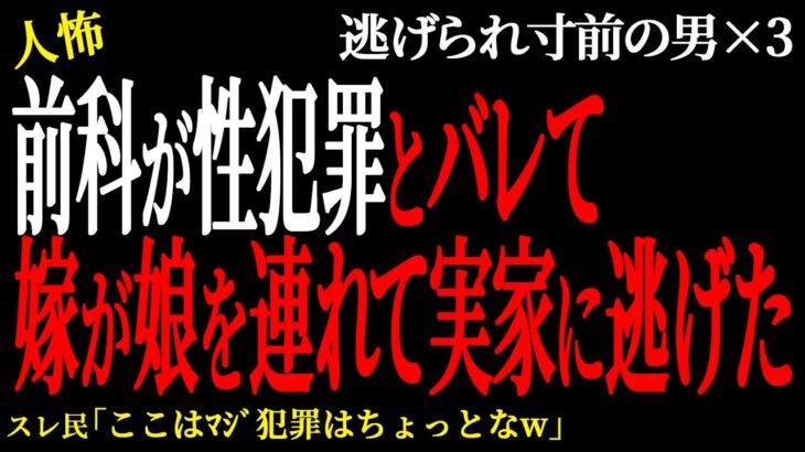 【驚愕】前科が◯犯罪とバレて嫁が娘を連れて実家に逃げた。(逃げられ男83)未解決まとめ