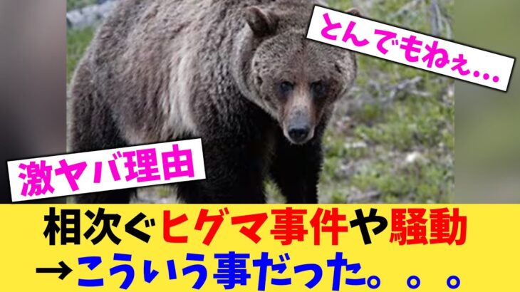 【仰天】相次ぐヒグマ事件や騒動→こういう事だった。。。