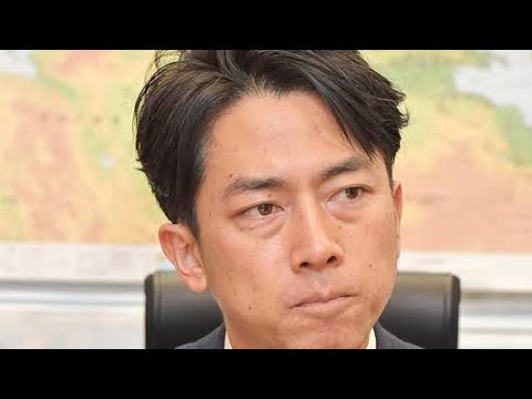 【必見】「みんなでやろうぜ！」小泉進次郎氏が語る大義とは？