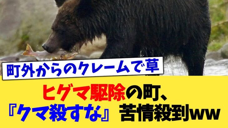 【驚愕】ヒグマ駆除の町、『クマ殺すな』苦情殺到ww