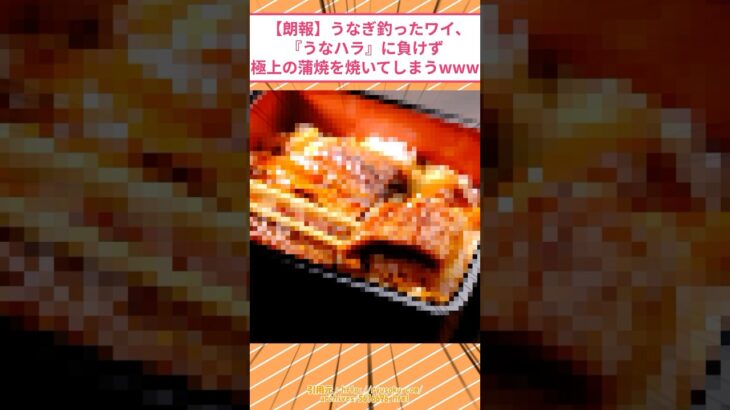 【驚愕】うなぎ釣ったワイ、『うなハラ』に負けず極上の蒲焼を焼いてしまうwww