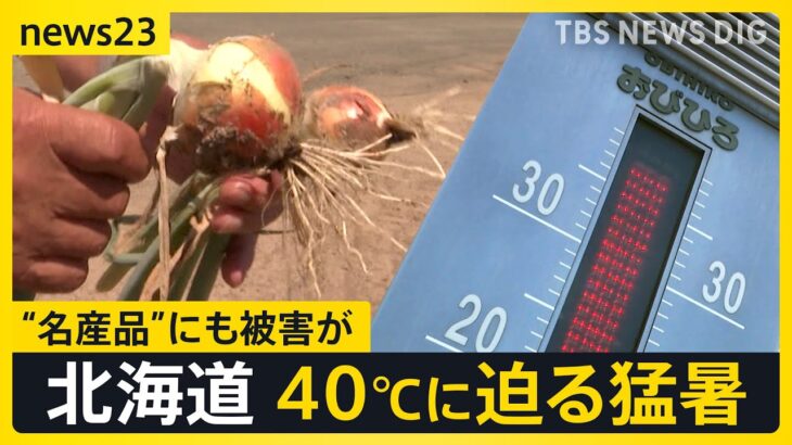 【驚愕】北海道の灼熱対策！急増するエアコン需要と設置の現状とは？
