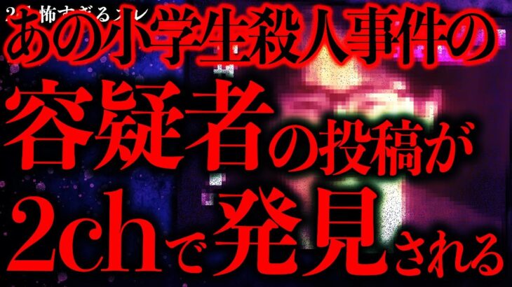 【衝撃】世間を揺るがしたあの小学生●人事件の容疑者の投稿が2chで発見されてしまう…