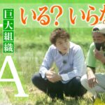 【社会】大規模農業の真実、高齢化に立ち向かう方法とは？