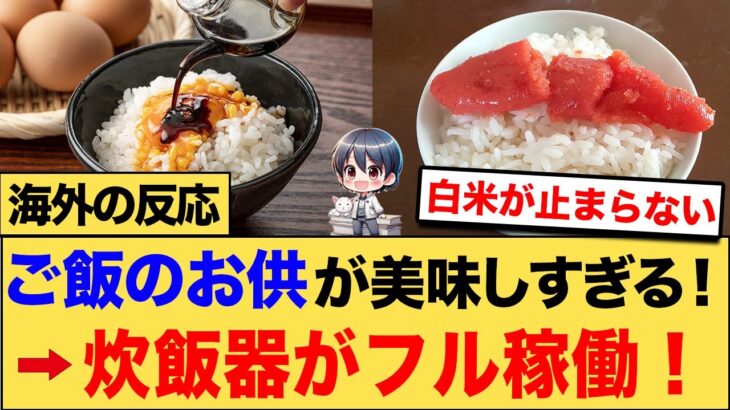 【驚愕】ご飯のお供が美味しすぎてお米を炊いても炊いても食べてしまうw