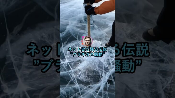 【マジかよ】ネット史に残る伝説”ブラギガス騒動”www