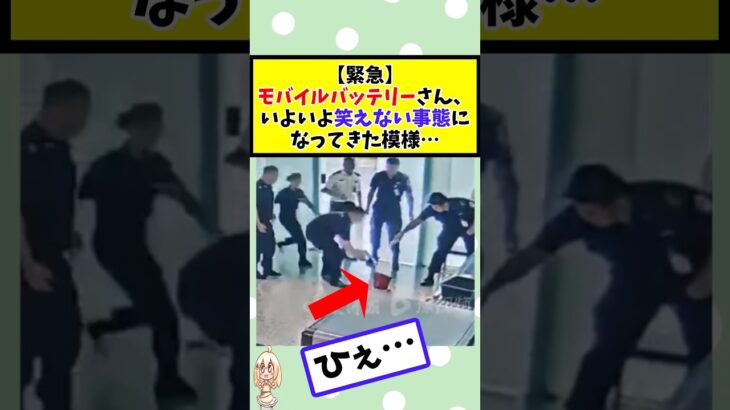 【驚愕】モバイルバッテリーさん、いよいよ笑えない事態になってきた模様