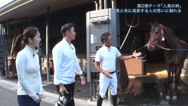 刈川くるみアナ　ピタピタの乗馬用スーツとノースリニットで巨乳がくっきり！！【GIF動画あり】