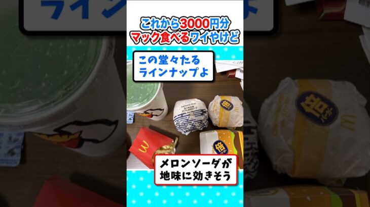【動画】こわから3000円分のマクドナルド食べるワイやけどw
