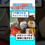 【動画】こわから3000円分のマクドナルド食べるワイやけどw