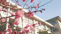 お触りOKなベトナムの卒業式が羨まし過ぎるｗｗｗｗｗｗｗｗｗｗｗｗｗｗ