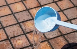 【悲報】隣の家のおっさん、打ち水を始めるWWWWWWWWWWWWWWWW