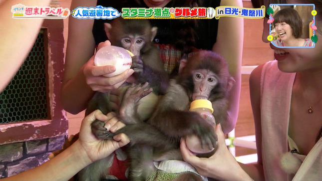 榎本ゆいなレポーター　ゆるゆる過ぎる胸元から谷間がチラ見え！！