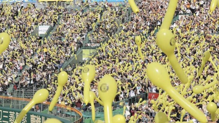交流戦明け 阪神●◯◯◯◯ 広島●◯◯△◯