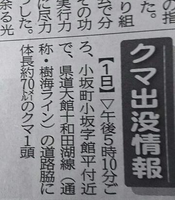 【画像】北海道の熊、お前らが思ってる以上にデカい