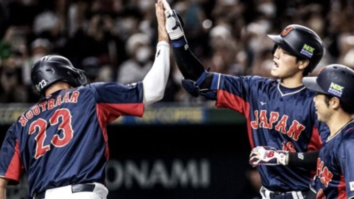 WBCに招集されそうな阪神の選手 → （確定）テル、石井（微妙）中野、森下